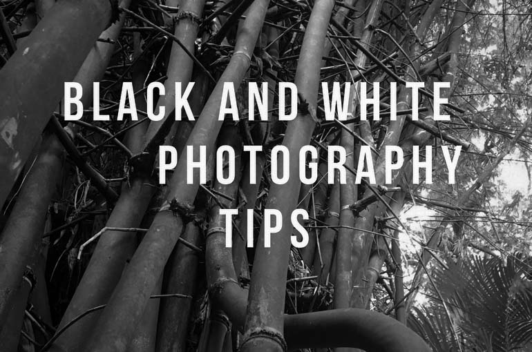 4 Black and white Photography tips, Black and white Photography tips, Photography, BW photography, Beauty, fitness, food, photography, travel, awareness